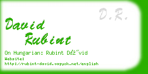 david rubint business card